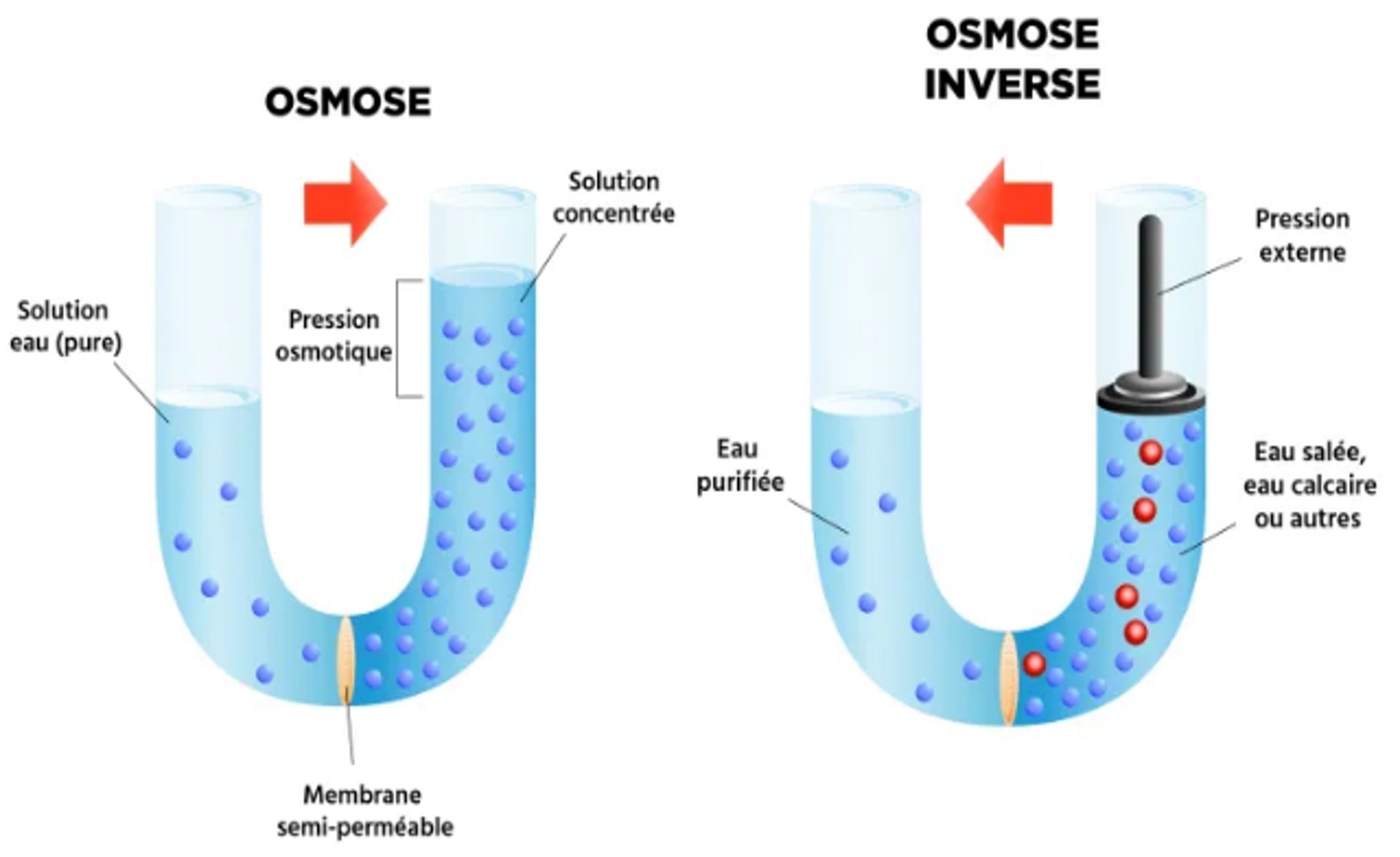 Filtration membranaire, Osmose inverse - Sugnaux